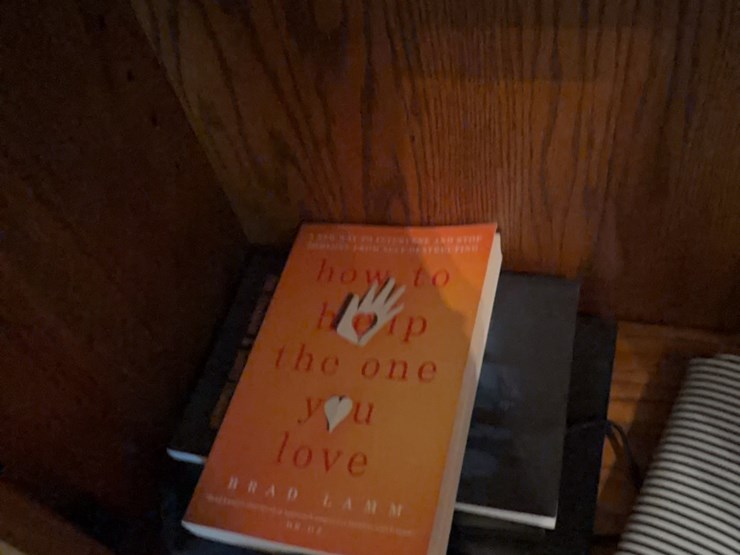 book-collection,-this-lot-includes-everything-on-bookshelf-image-12
