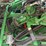 2012-john-deere-s680-image-40