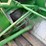 john-deere-9500-image-72