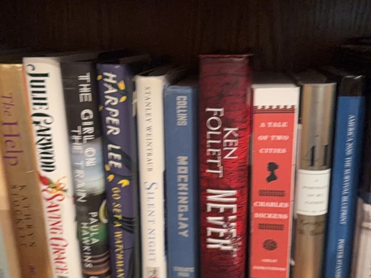 book-collection,-this-lot-includes-everything-on-bookshelf-image-4