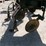 2002-dalton-ag-products-d3035-image-7