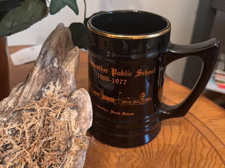 everything-on-top-of-the-table,-includes-driftwood-decorated-piece,-flowers,-starkweather-public-school-mug-from-1977-image-7
