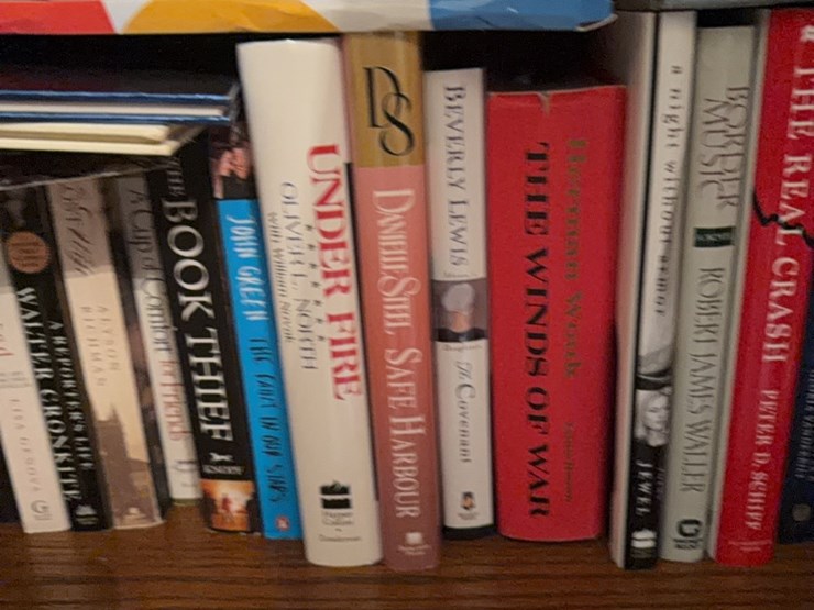 book-collection,-this-lot-includes-everything-on-bookshelf-image-8
