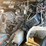 2003-international-durastar-4200-image-64