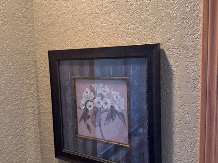 pair-of-matching-pictures-image-1