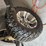 ezgo-electric-cart-8412-image-13