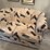 loveseat-image-4