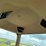john-deere-8560-image-53