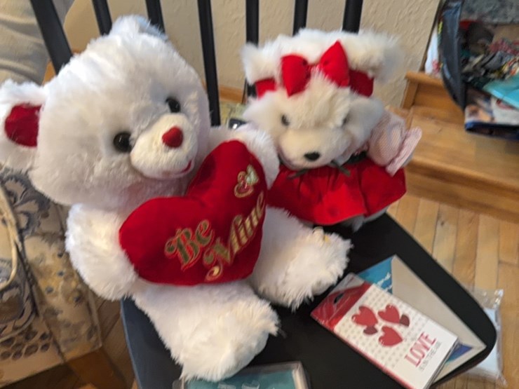 valentine’s-day-image-11