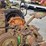 john-deere-a-image-12