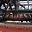 2010-case-ih-2162-image-18