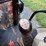 2023-massey-ferguson-5711-image-71