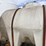 no-reserve-kbh-applicator-tank-trailer-image-5