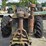 international-f20-image-16