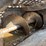 new-holland-358-image-28