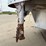 1989-kiefer-built-7ft-x-22ft-aluminum-gooseneck-livestock-trailer-image-18