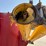 new-holland-358-image-14