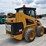 caterpillar-246-image-17