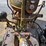 international-m-image-20