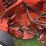 hesston-540-image-22