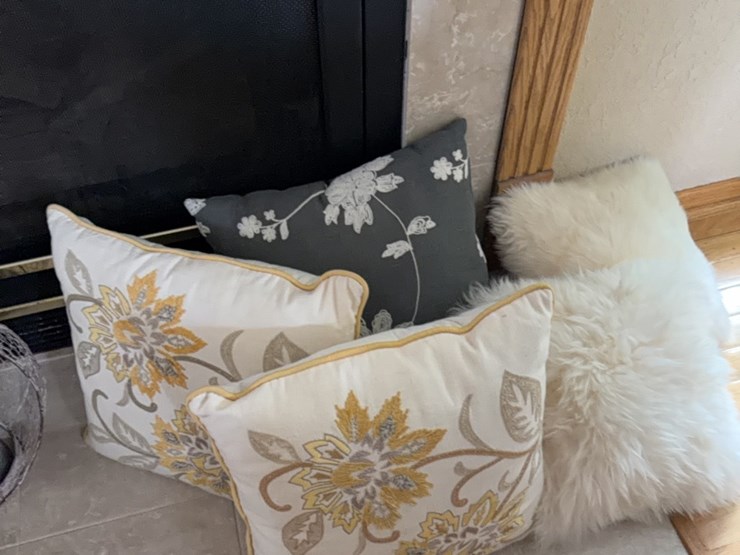(5)-decorative-pillows-image-1
