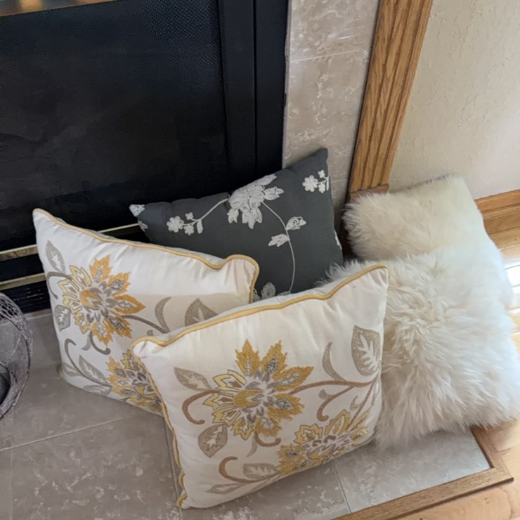 (5) Decorative pillows