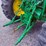 john-deere-2840-image-42