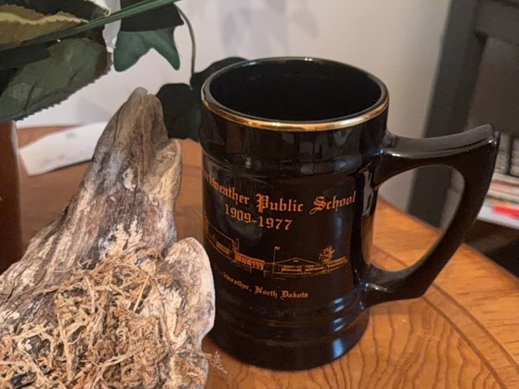 everything-on-top-of-the-table,-includes-driftwood-decorated-piece,-flowers,-starkweather-public-school-mug-from-1977-image-8