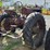 farmall-f20-tractor-(not-running)-image-4