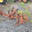 allis-chalmers-ca-tractor-w/cultivators-(runs)-image-13