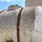 no-reserve-kbh-applicator-tank-trailer-image-4