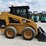 caterpillar-246-image-19