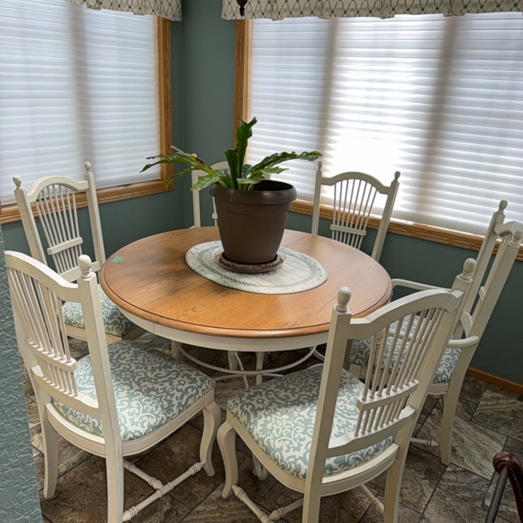 kitchen table and 6 chairs(does NOT include plant)
