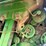 1991-john-deere-9600-image-70