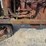 international-f20-image-5
