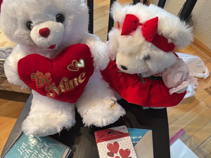 valentine’s-day-image-6
