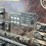 freightliner-cst120-image-37