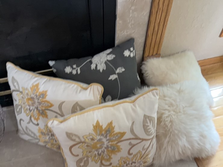 (5)-decorative-pillows-image-2