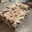 loveseat-image-12
