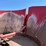 case-ih-8610-image-18
