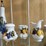 glassware-collection-image-3