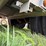 2014-wilson-livestock-trailer-image-58