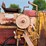 kelly-ryan-ag-bagger-image-29