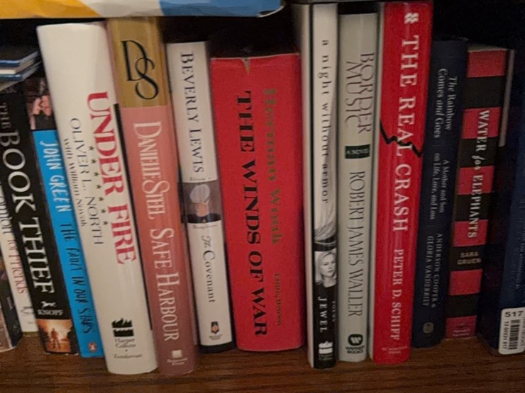 book-collection,-this-lot-includes-everything-on-bookshelf-image-9