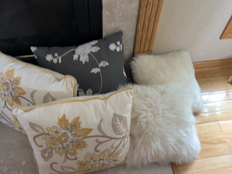 (5)-decorative-pillows-image-3