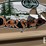 dak-shack-portable-fish-house-image-12