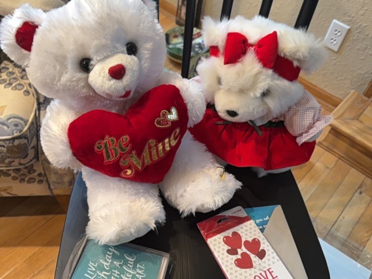 valentine’s-day-image-8