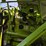 claas-rollant-250rc-image-27