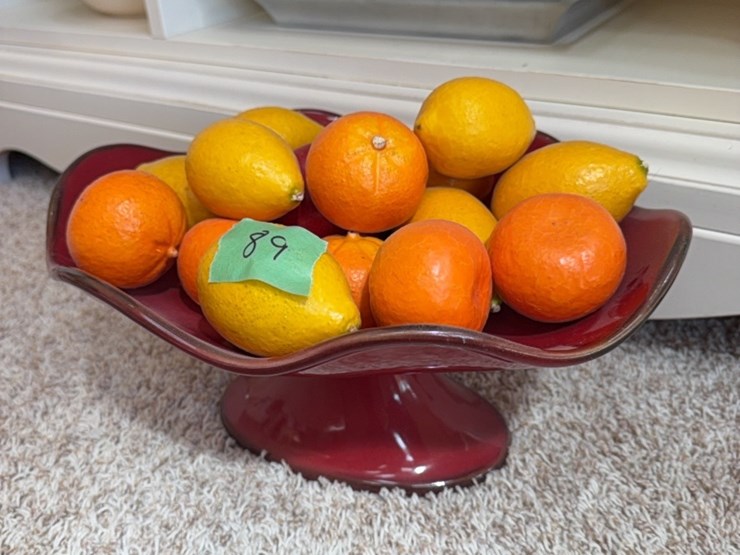 serving-tray,-fruit-bowl-with-fake-fruit-image-4
