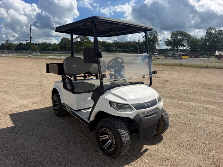 #1638-•-2022-advanced-ev-golfcart-image-1